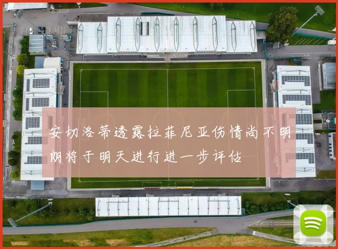 安切洛蒂透露拉菲尼亚伤情尚不明朗将于明天进行进一步评估
